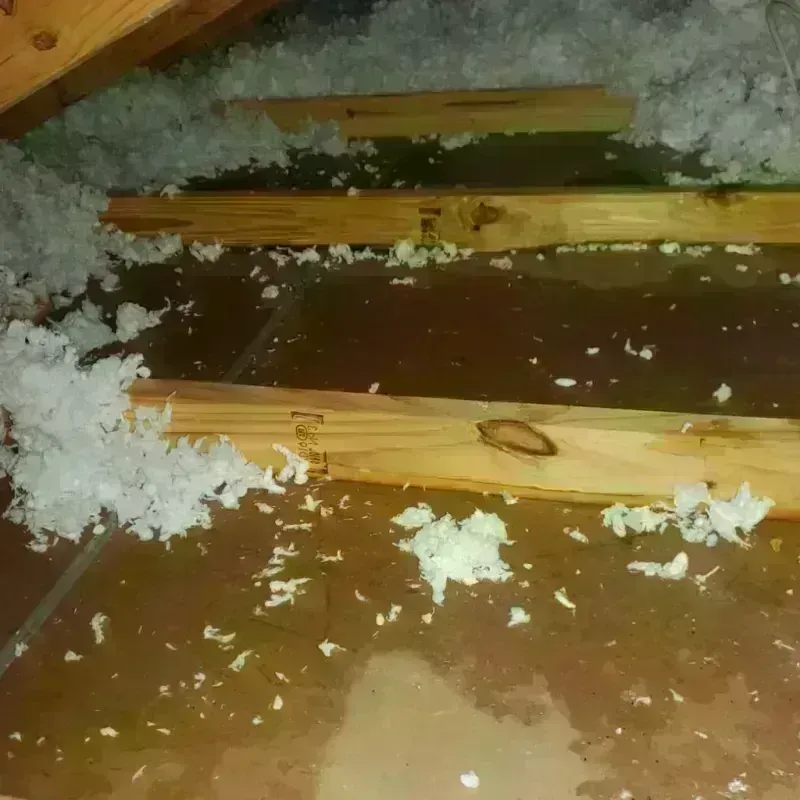 Attic Water Damage in Stevensville, MI