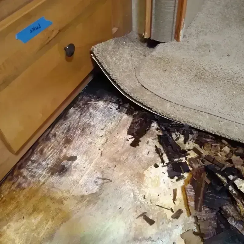 Wood Floor Water Damage in Stevensville, MI